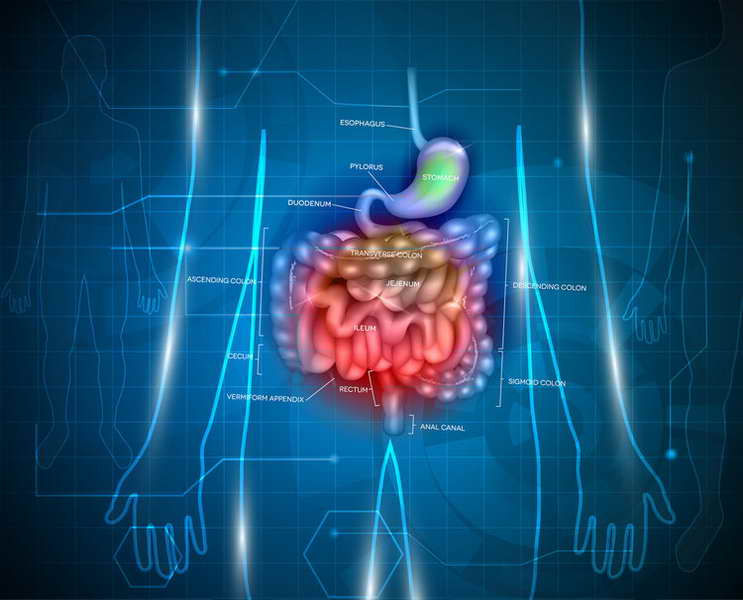 腸道是人體的“第二大腦”，“腸壽”才可能長壽，3個建議要牢記