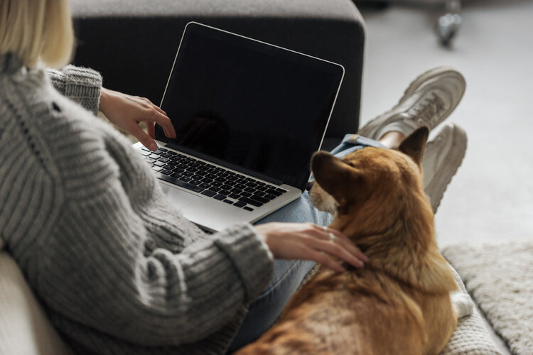 哪些情况需要接种狂犬疫苗？不想得狂犬病，这4点注意事项需牢记