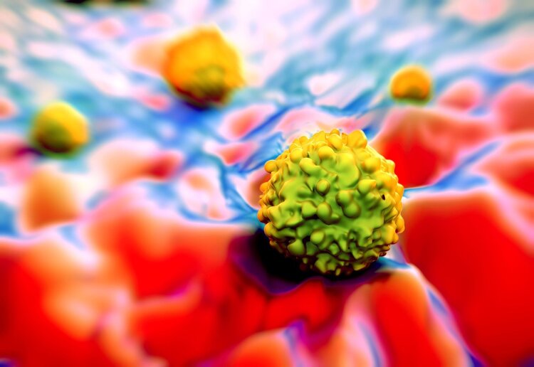TIL疗法：抗癌“黑科技”，可直接杀伤肿瘤细胞，适用于7种癌症